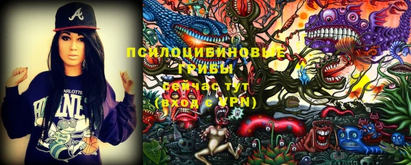 МДПВ Армянск