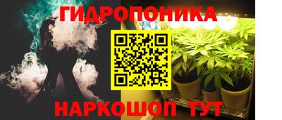 прущие крисы Пенза
