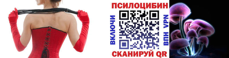 купить закладку Бирск Псилоцибиновые грибы мухоморы